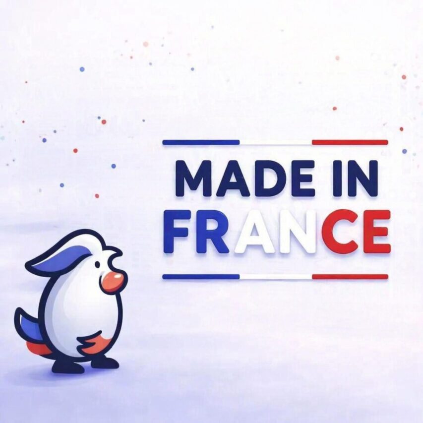 mascotte le site francais regardant une creation de site internet france